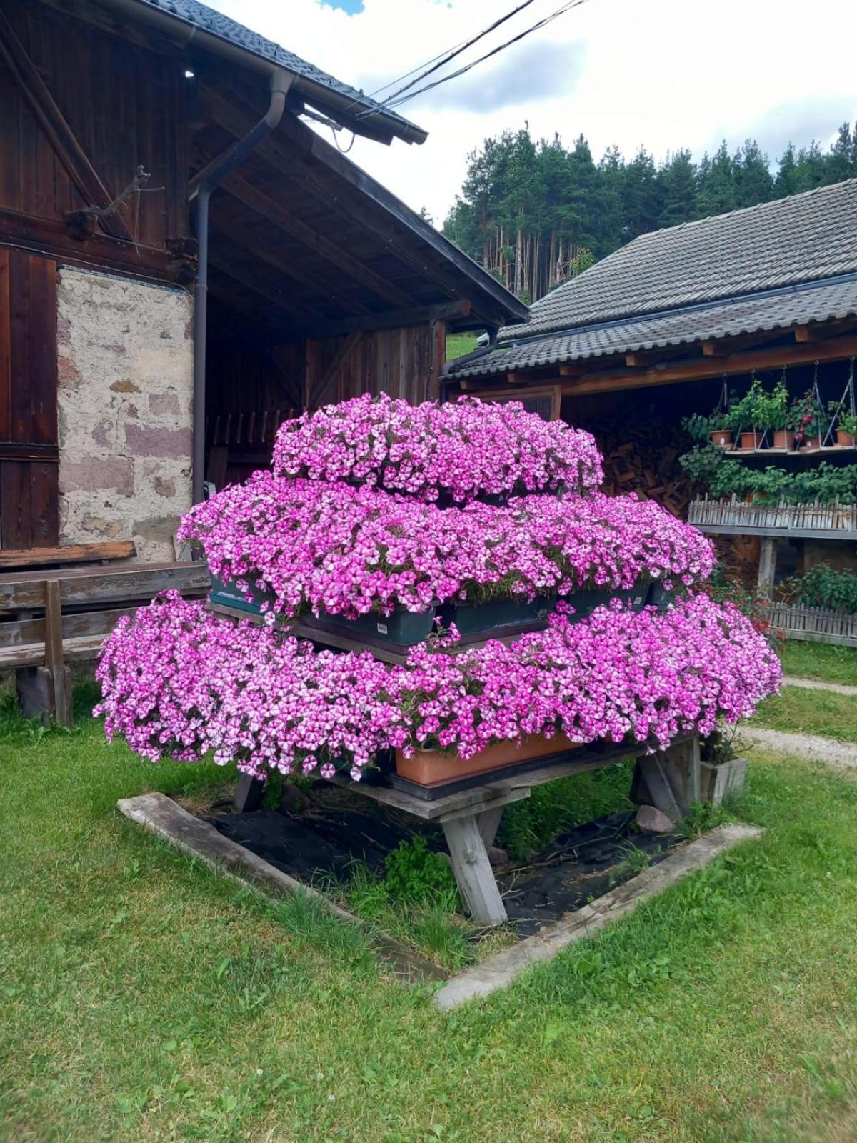 Schartnerhof Villa Collalbo Dış mekan fotoğraf