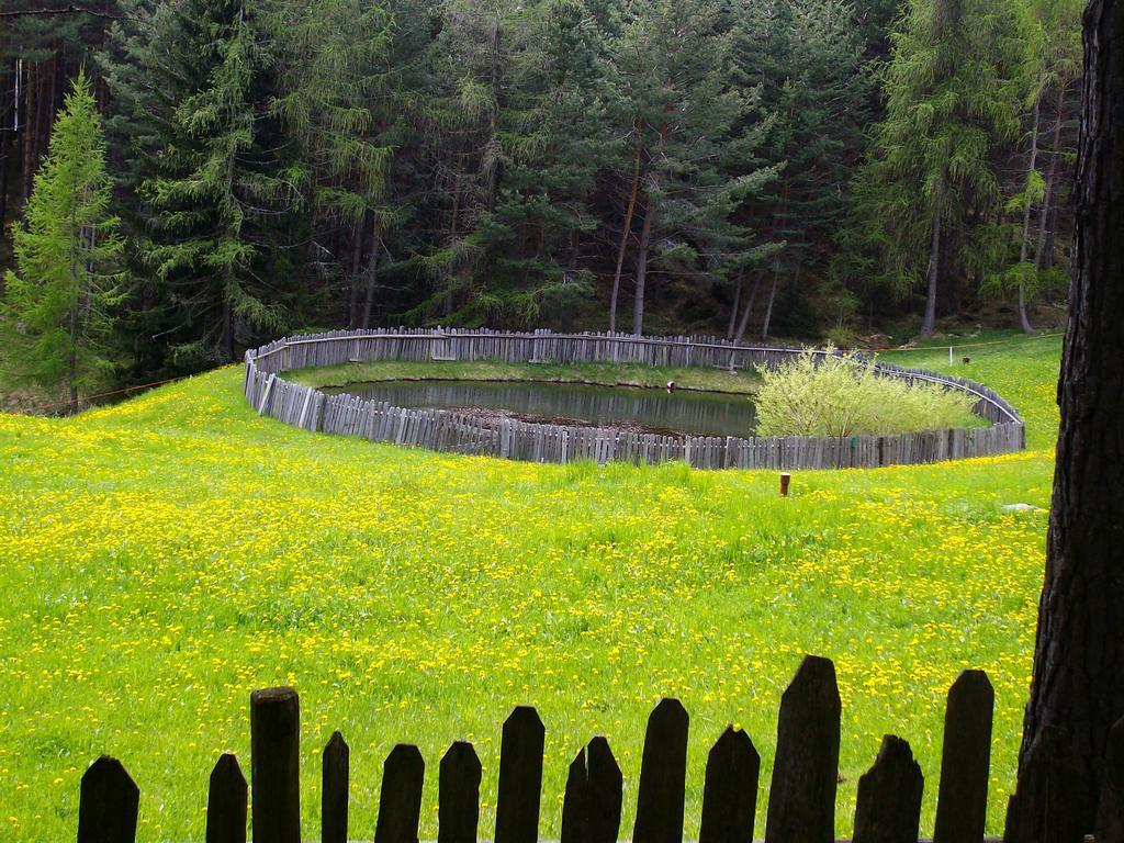 Schartnerhof Villa Collalbo Dış mekan fotoğraf